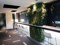 �͂��߂Ẵr�W�l�X���{��